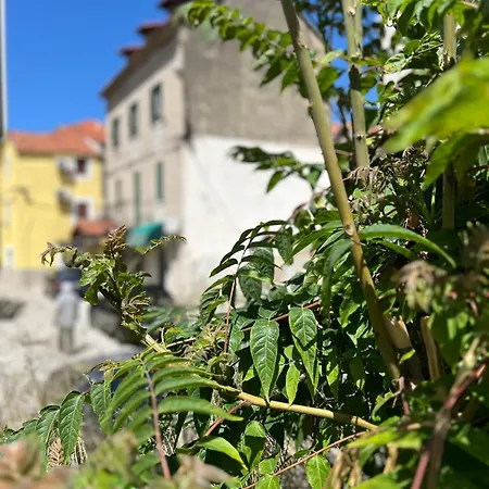 Διαμέρισμα Fonte